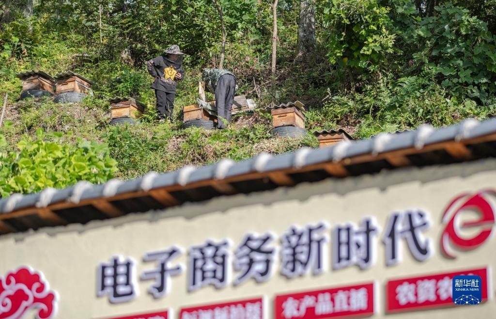 游网送分