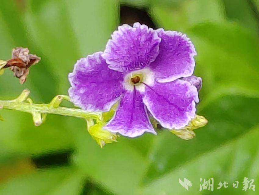 2019年多多宝资料网站